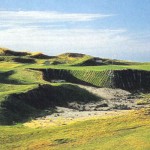 Whistling_magpicB_72-correct-size